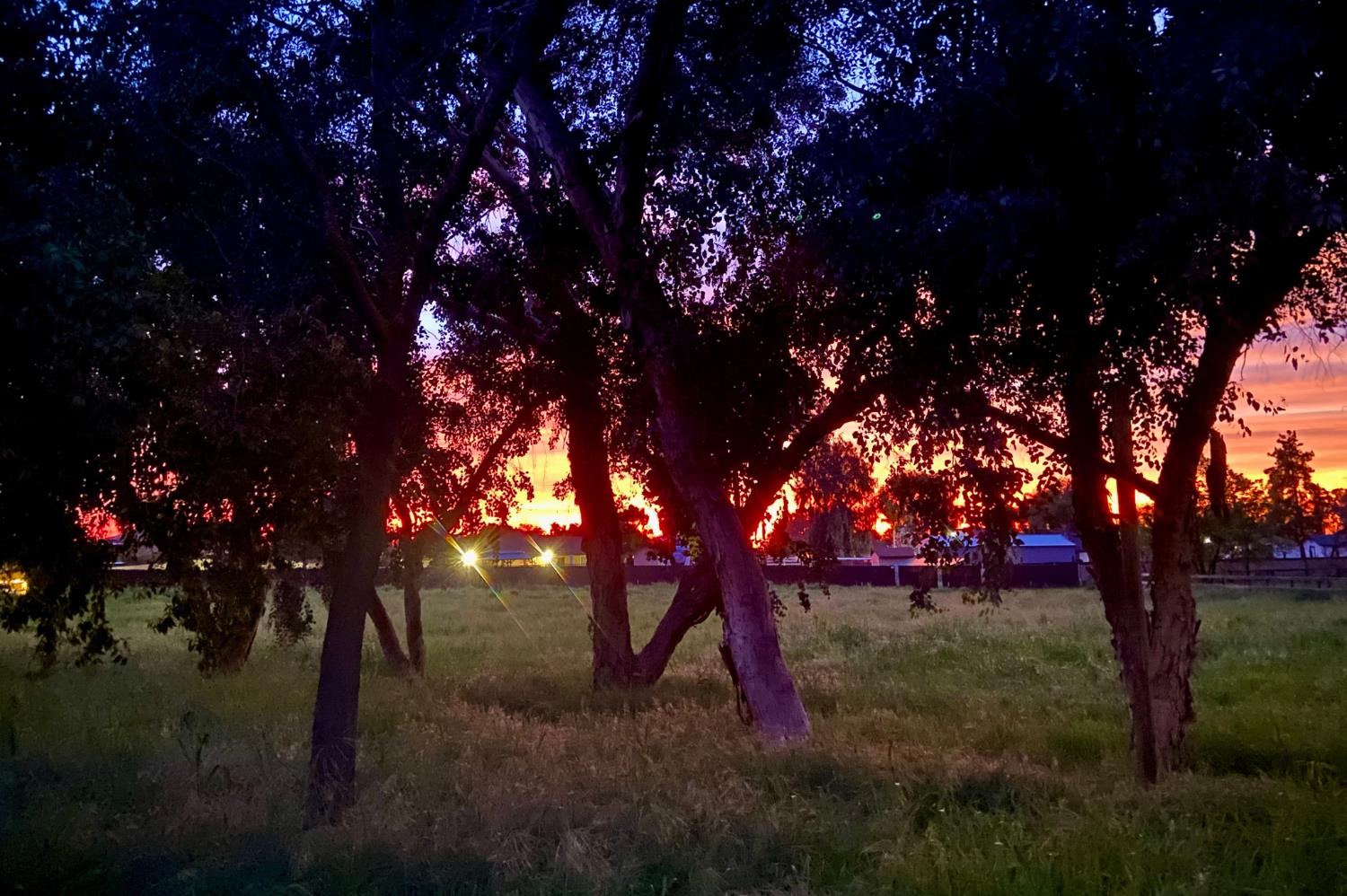 8737 N Madsen Ave, Clovis, CA 93619