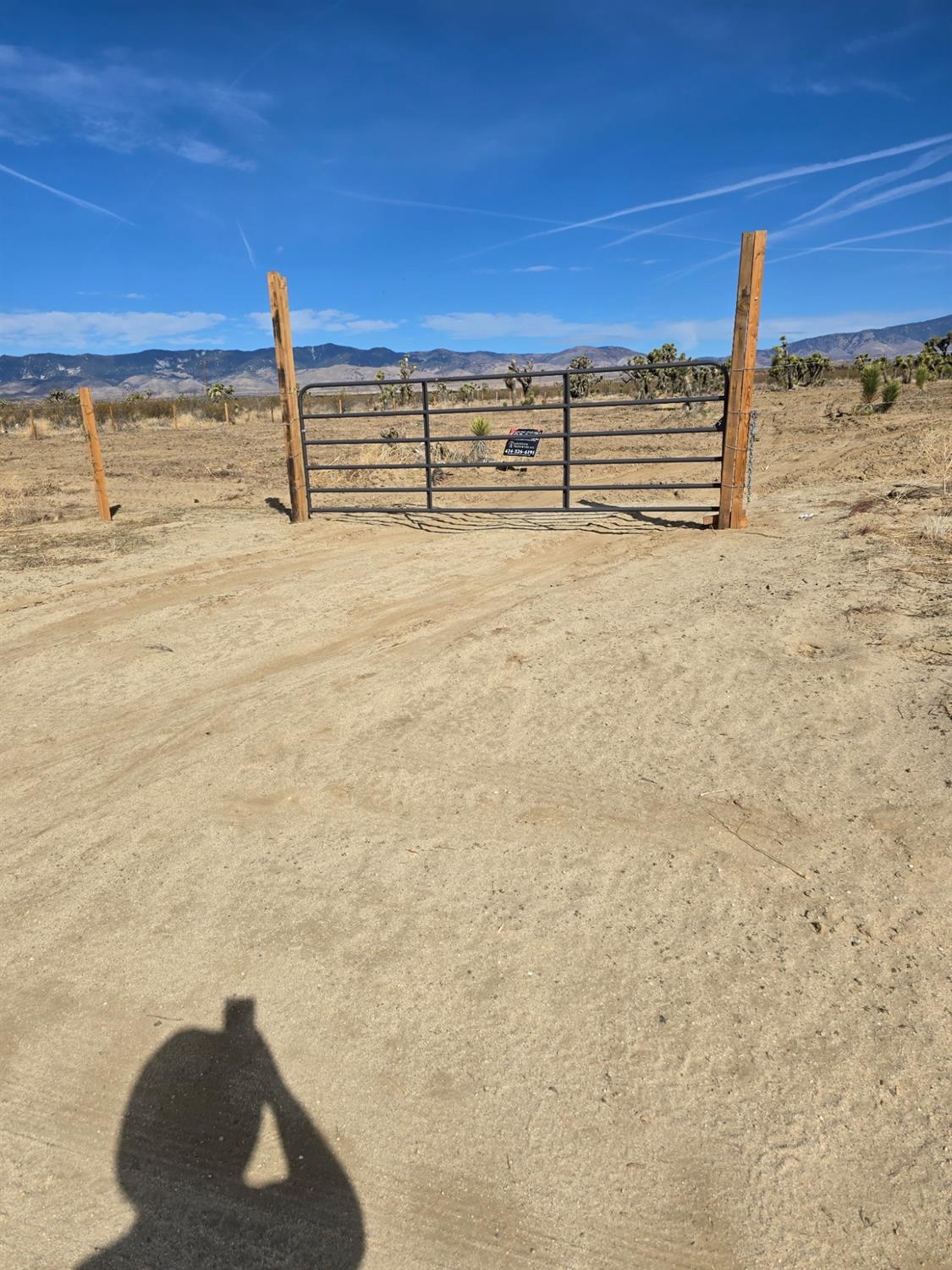 1000 Gaskell Rd, Rosamond, CA 93560
