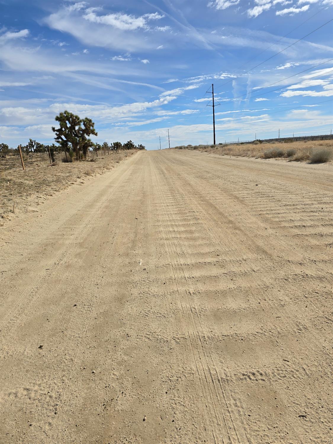 1000 Gaskell Rd, Rosamond, CA 93560