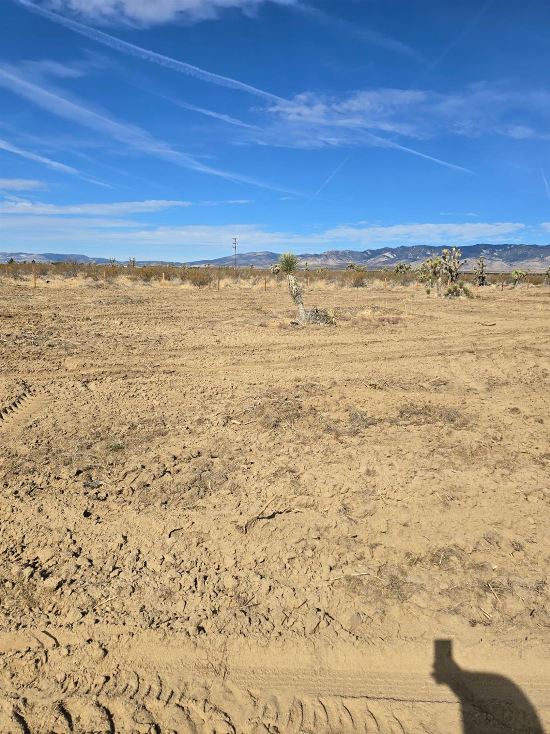 1000 Gaskell Rd, Rosamond, CA 93560