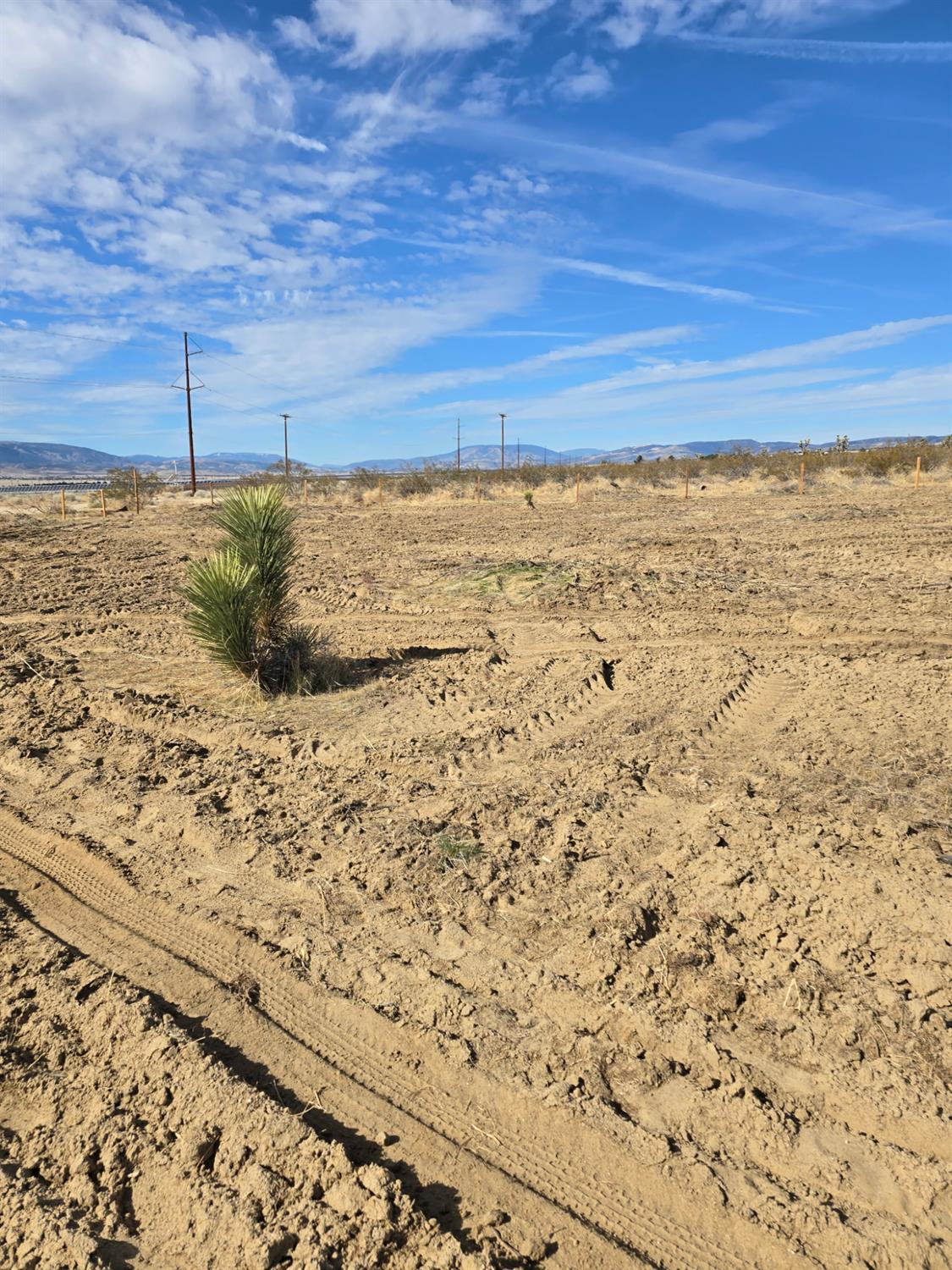 1000 Gaskell Rd, Rosamond, CA 93560