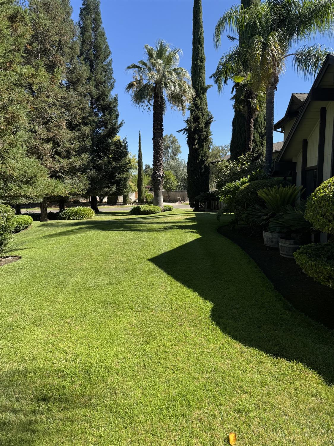 19117 Farallon Rd, Madera, CA 93638
