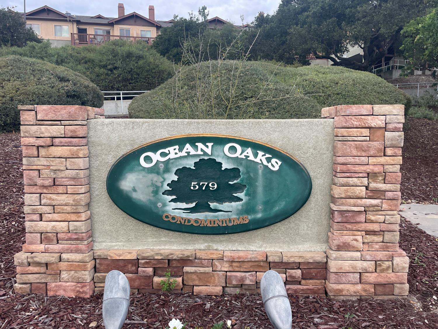 579 Camino Mercado #518, Arroyo Grande, CA 93420