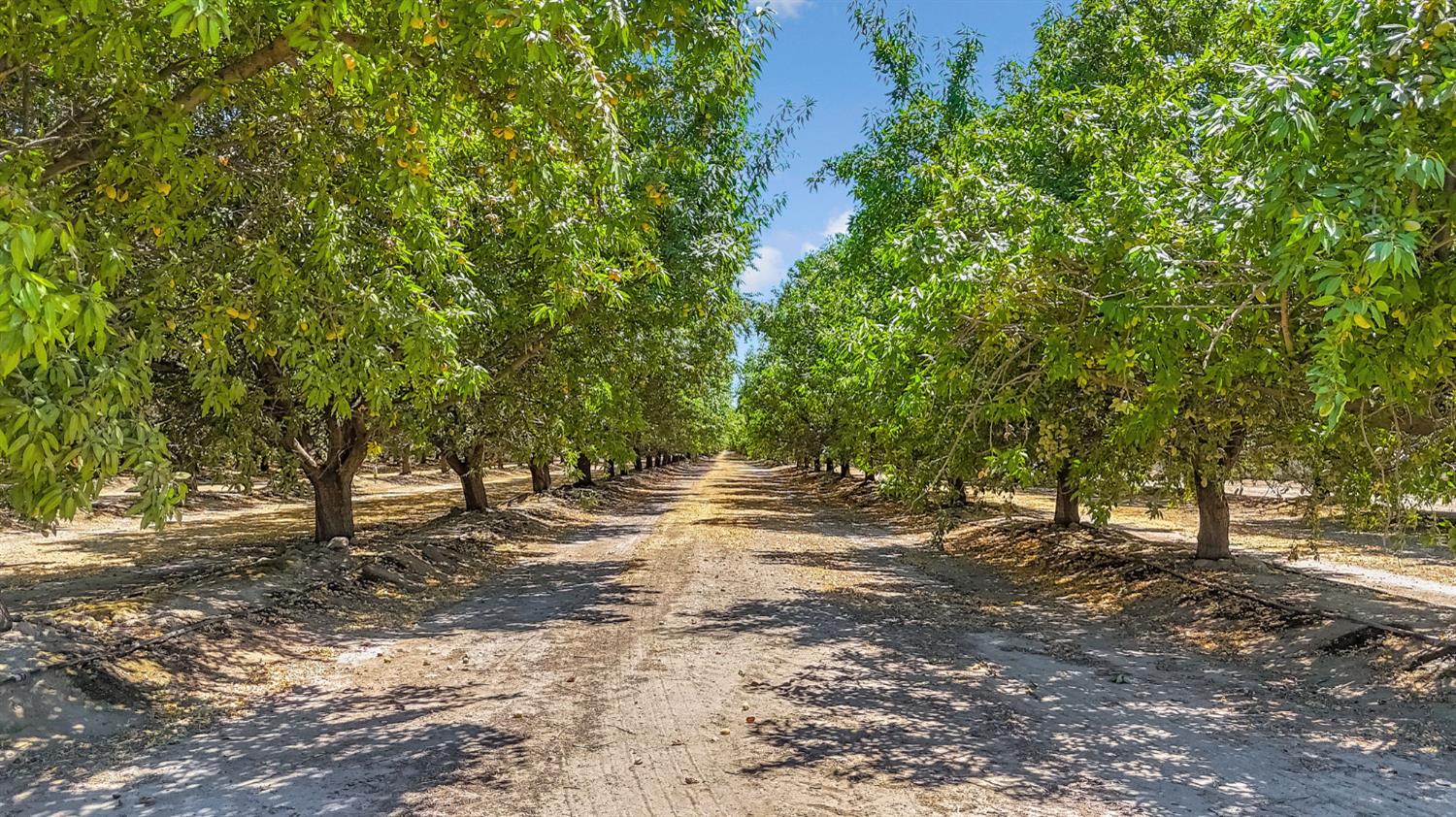 15110 Avenue 7, Madera, CA 93637