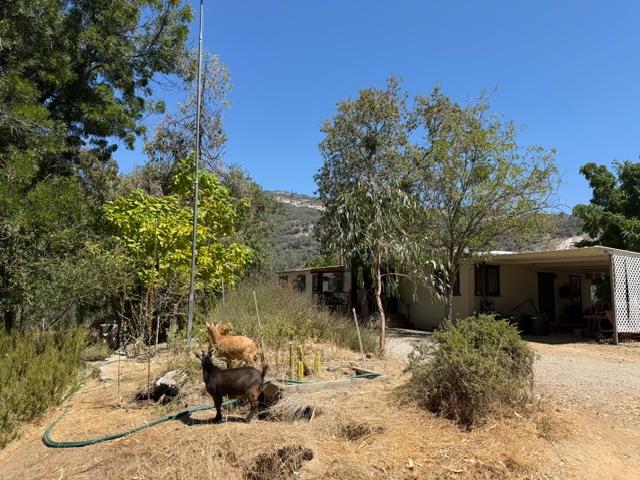 35905 Oak Springs Rd, Tollhouse, CA 93667