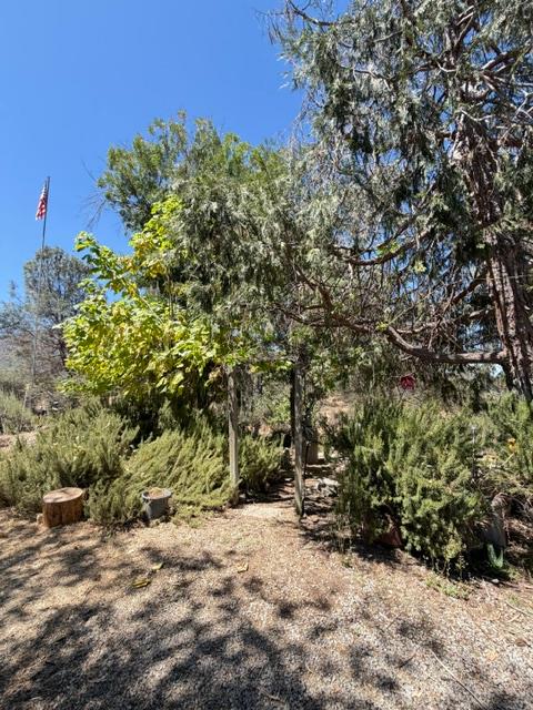 35905 Oak Springs Rd, Tollhouse, CA 93667