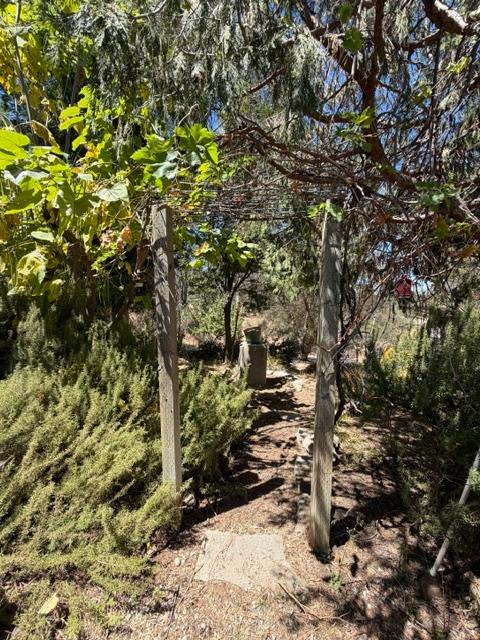 35905 Oak Springs Rd, Tollhouse, CA 93667