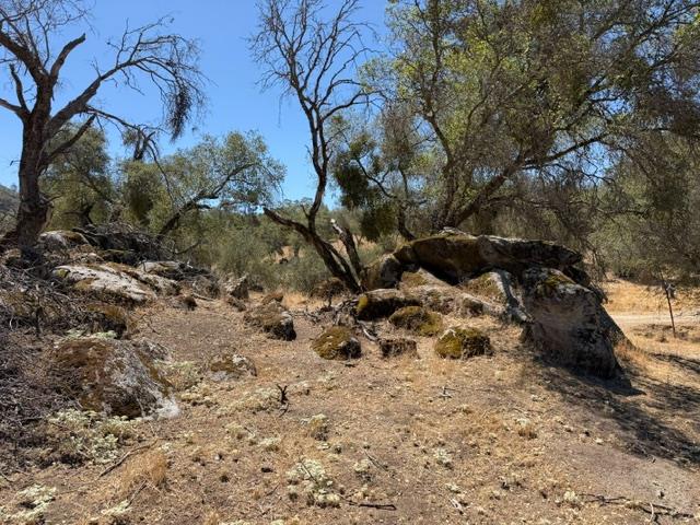 35905 Oak Springs Rd, Tollhouse, CA 93667
