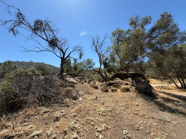 35905 Oak Springs Rd, Tollhouse, CA 93667