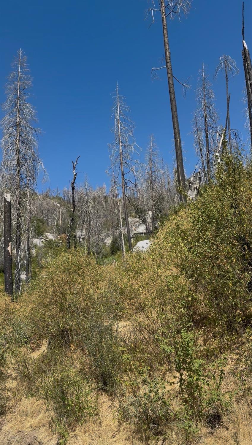 36980 Peterson Rd, Auberry, CA 93602