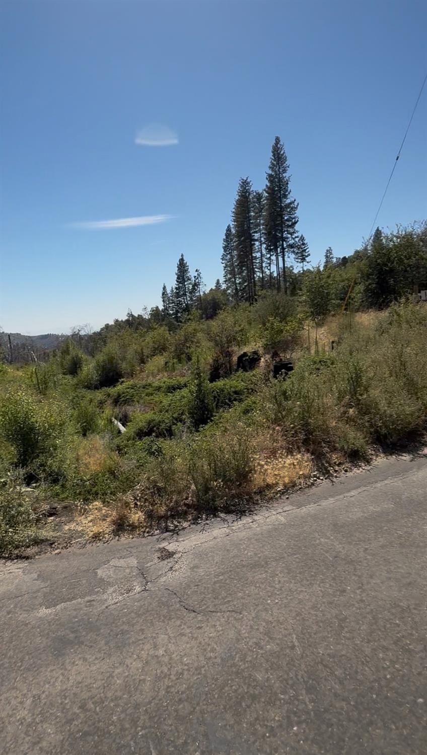 36980 Peterson Rd, Auberry, CA 93602