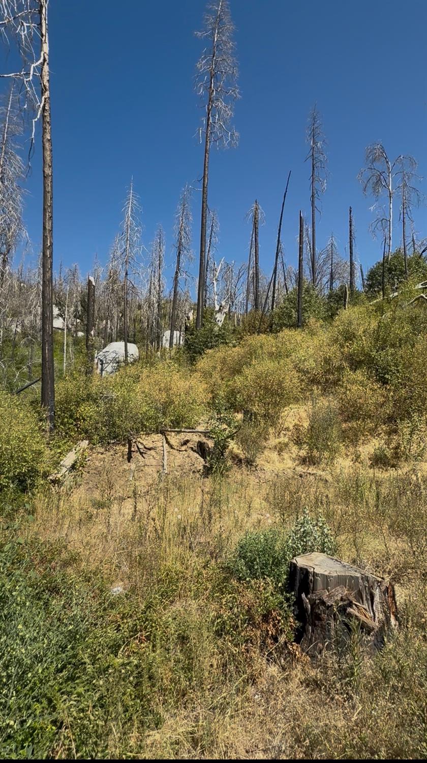 36980 Peterson Rd, Auberry, CA 93602
