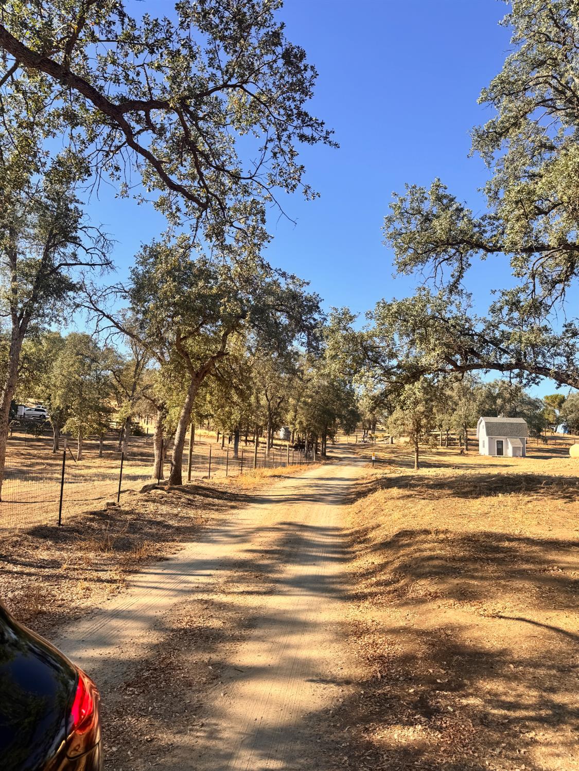 25388 White Thorne Rd, Clovis, CA 93619