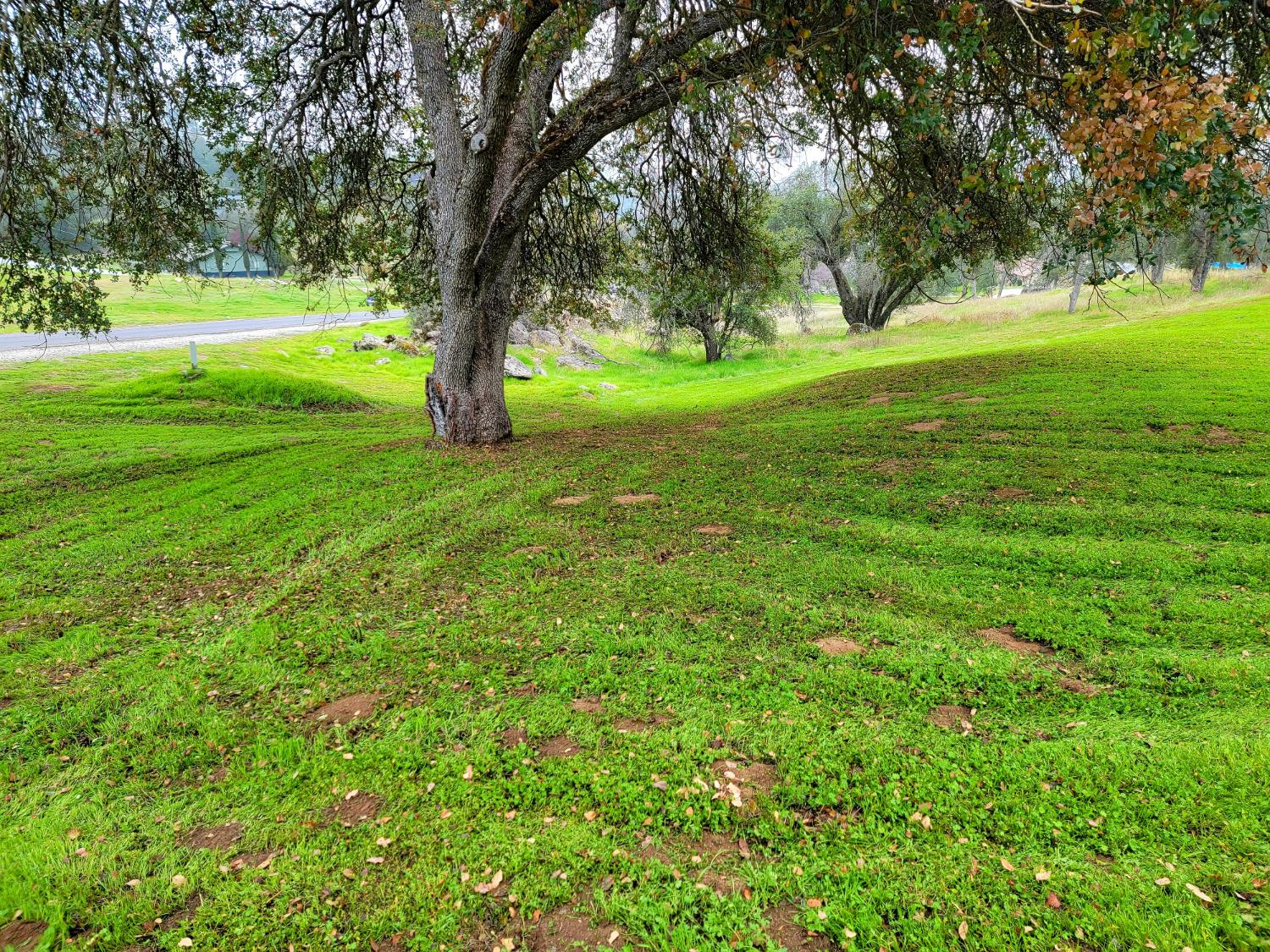 29682 Yosemite Springs Pkwy, Coarsegold, CA 93614