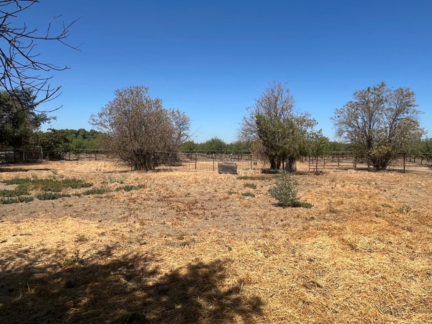 26221 Road 164, Visalia, CA 93292