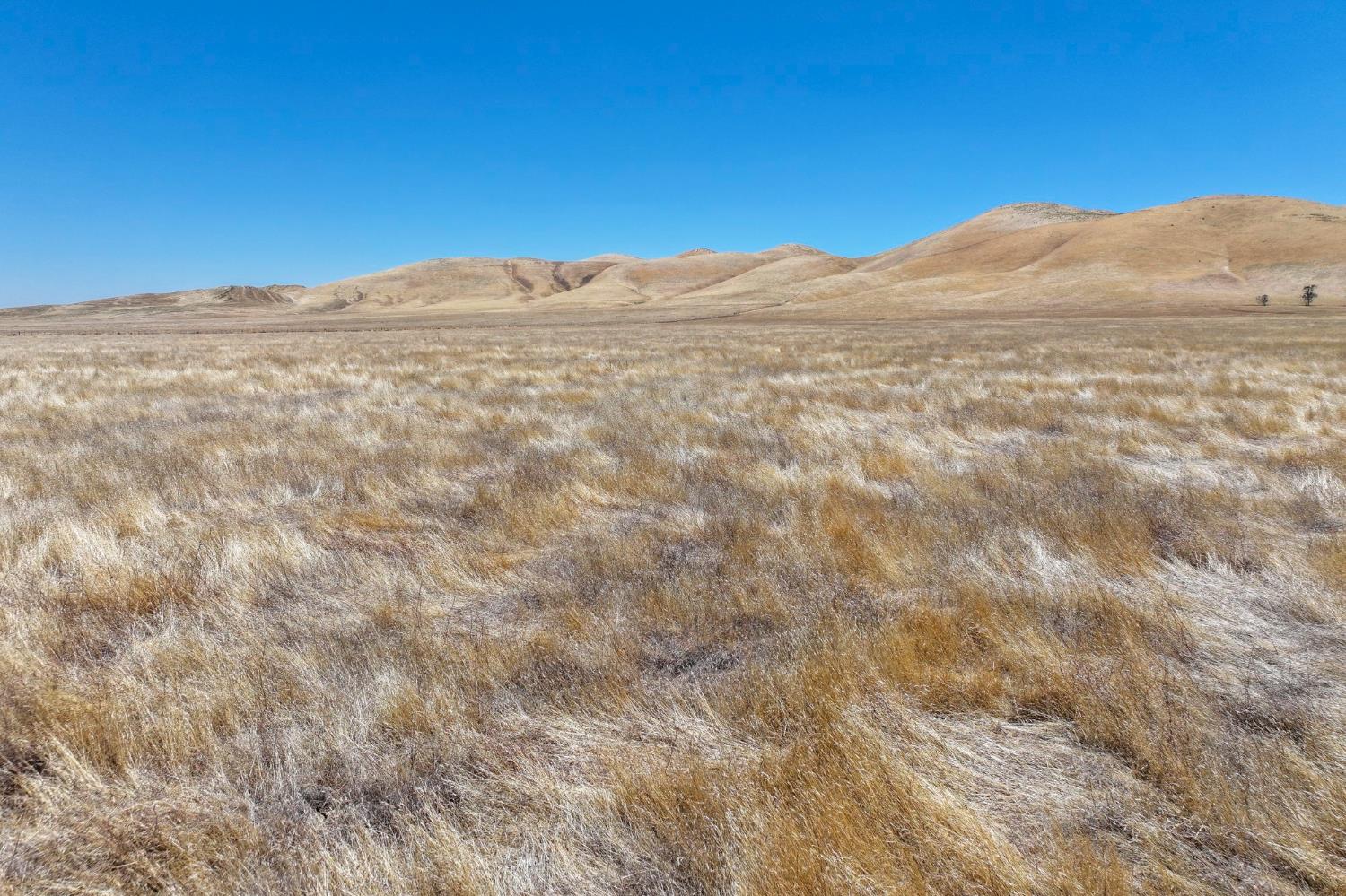 0 0 N. of Bittersweet Valley Rd, Lost Hills, CA 93249