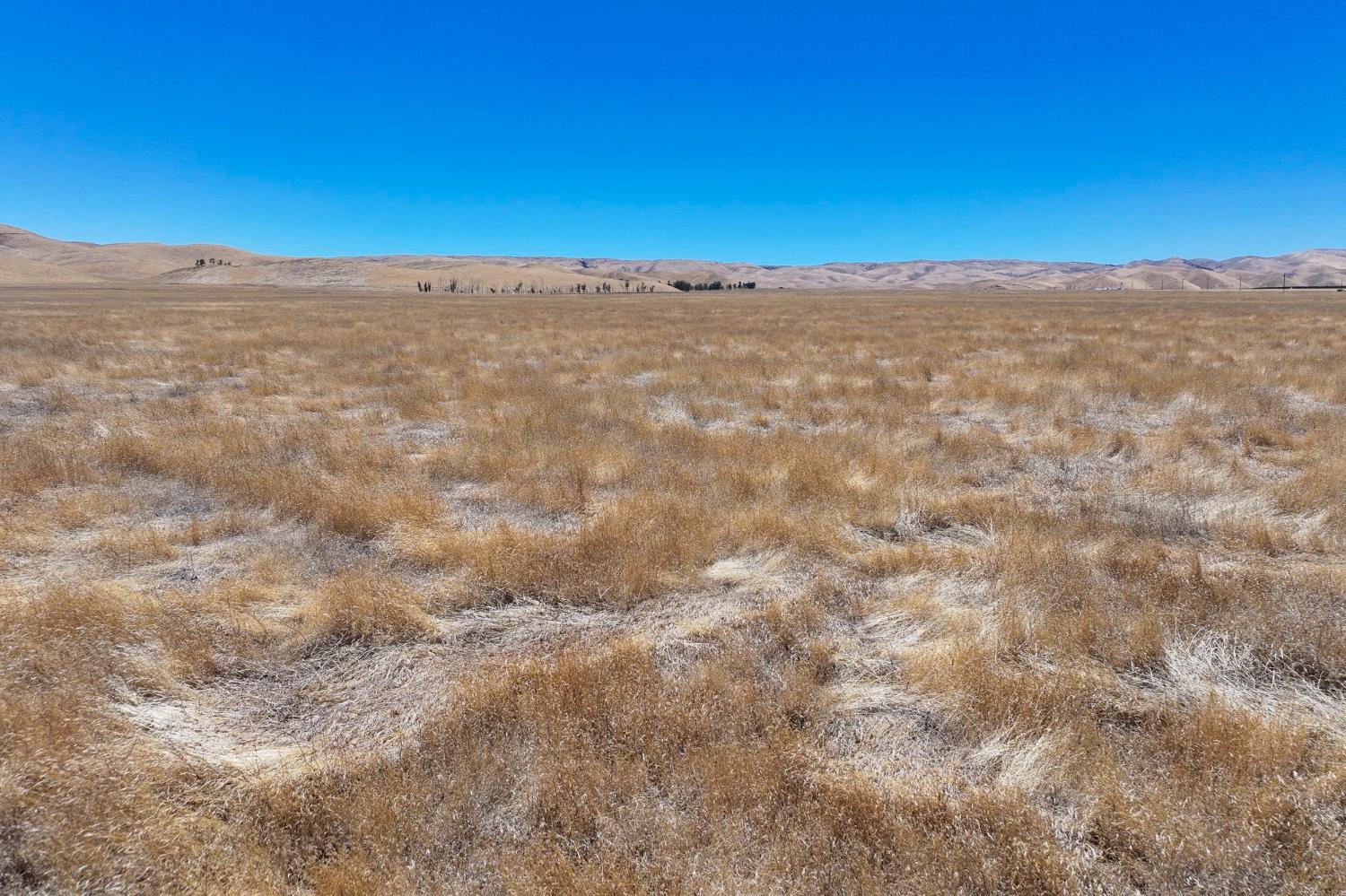 0 0 N. of Bittersweet Valley Rd, Lost Hills, CA 93249