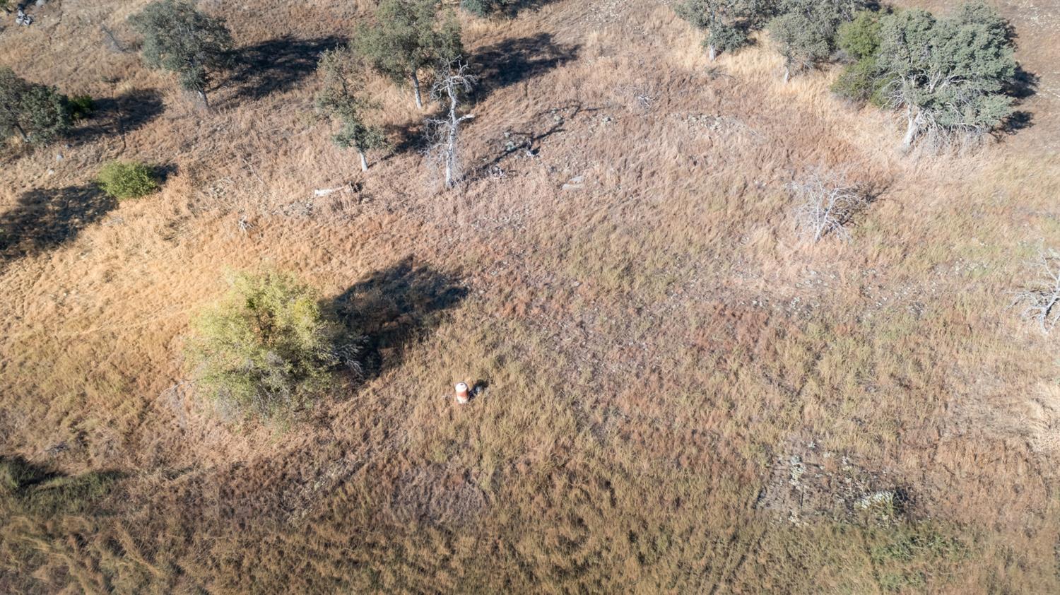 29797 Morgan Canyon Rd, Prather, CA 93651