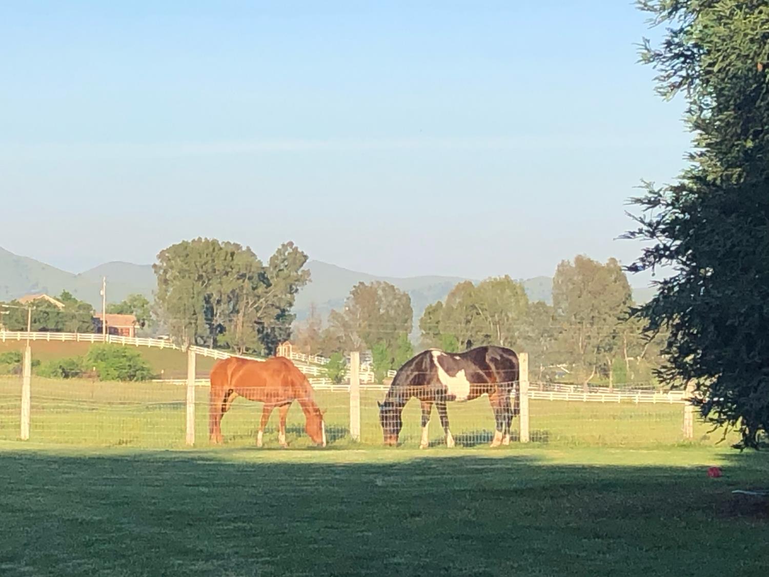 8584 N Madsen Ave, Clovis, CA 93619