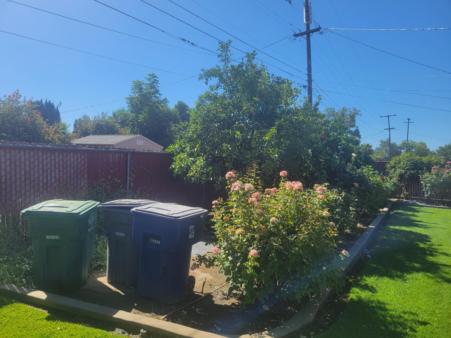 513 Fairview Ave, Madera, CA 93637