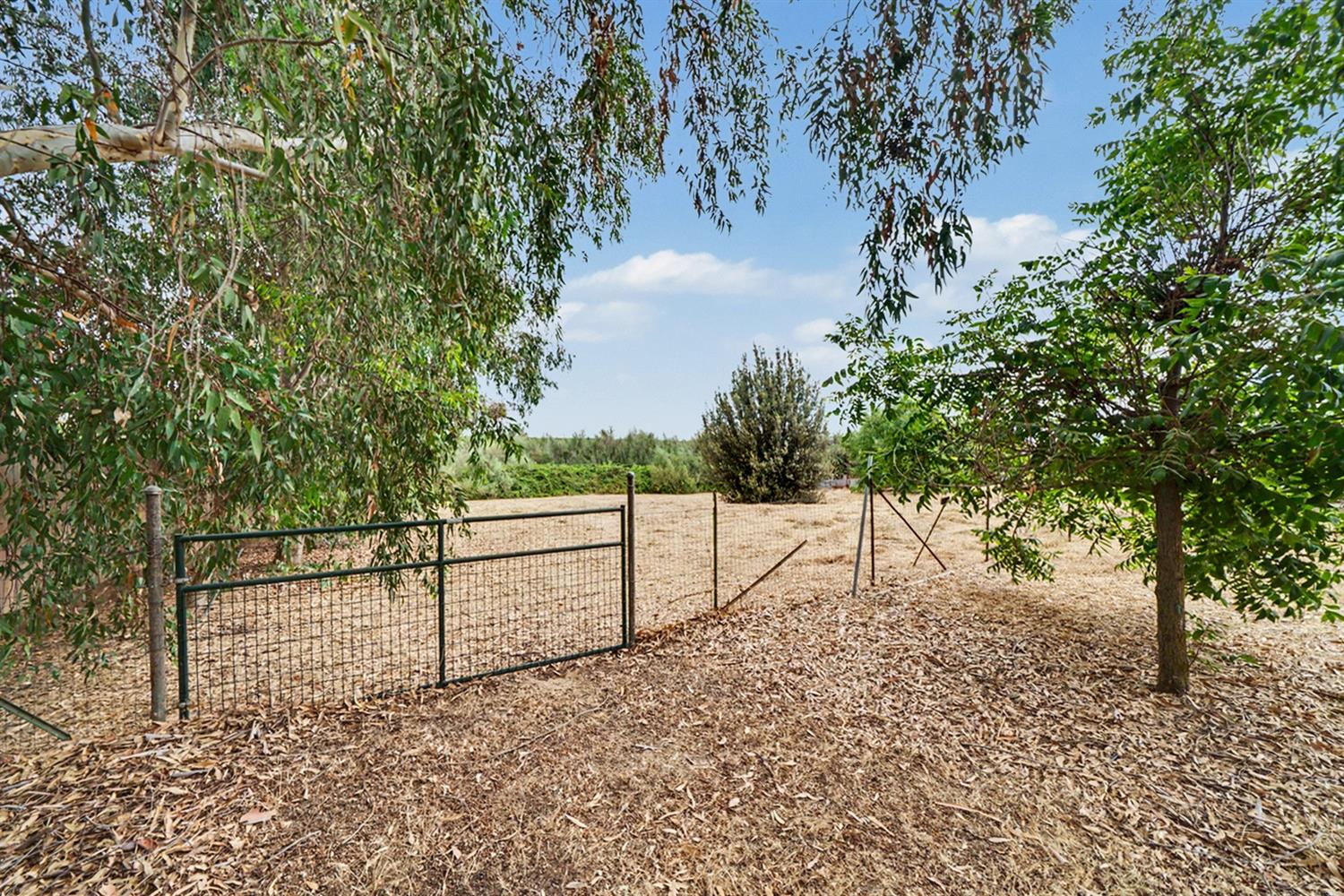 28903 Avenue 22, Madera, CA 93638