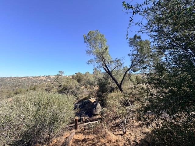 28734 Long Hollow Ct S, Coarsegold, CA 93614
