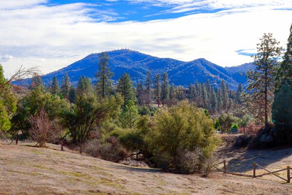 45512 Lauri Ln, Oakhurst, CA 93644