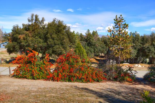 45512 Lauri Ln, Oakhurst, CA 93644
