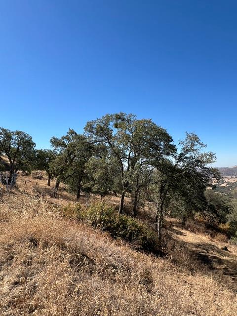 0 0 Thunderhill Ln, Yokuts Valley, CA 93675