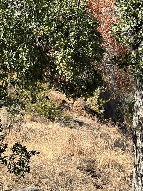 0 0 Thunderhill Ln, Yokuts Valley, CA 93675