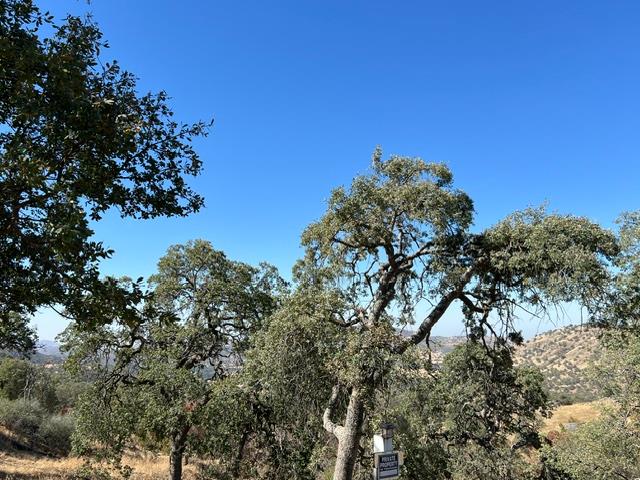 0 0 Thunderhill Ln, Yokuts Valley, CA 93675