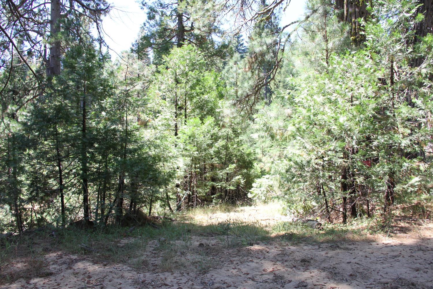 7214 Chowchilla Mtn Rd, Mariposa, CA 95338