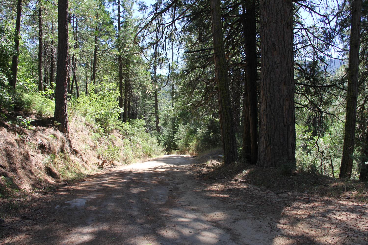 7214 Chowchilla Mtn Rd, Mariposa, CA 95338
