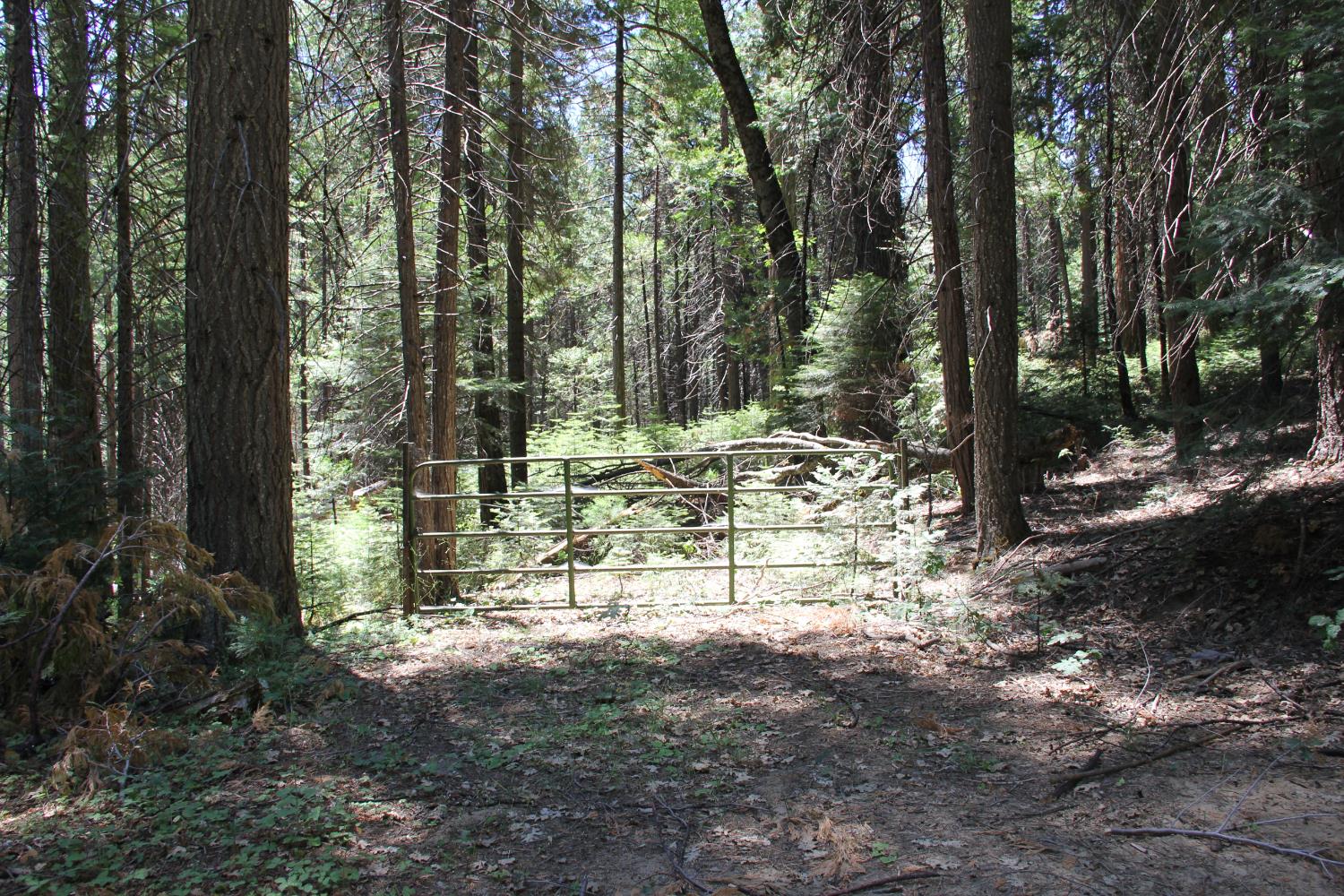 7214 Chowchilla Mtn Rd, Mariposa, CA 95338
