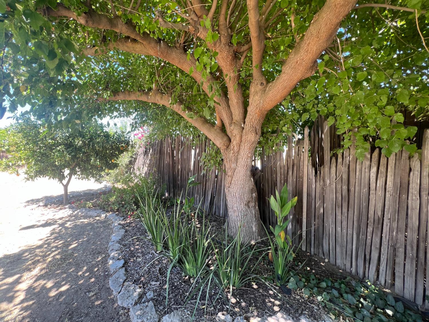 55 E Lorena Ave, Fresno, CA 93706
