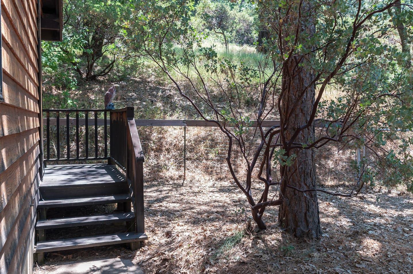 51400 Hogback Rd, Miramonte, CA 93641