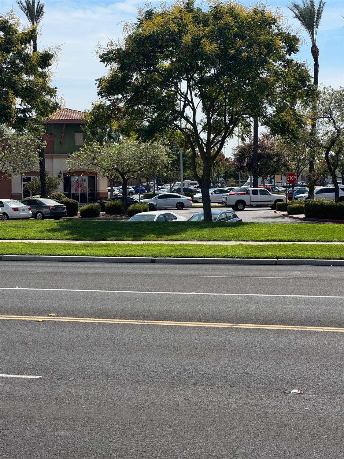 606 W Mahogany Ln, Clovis, CA 93611
