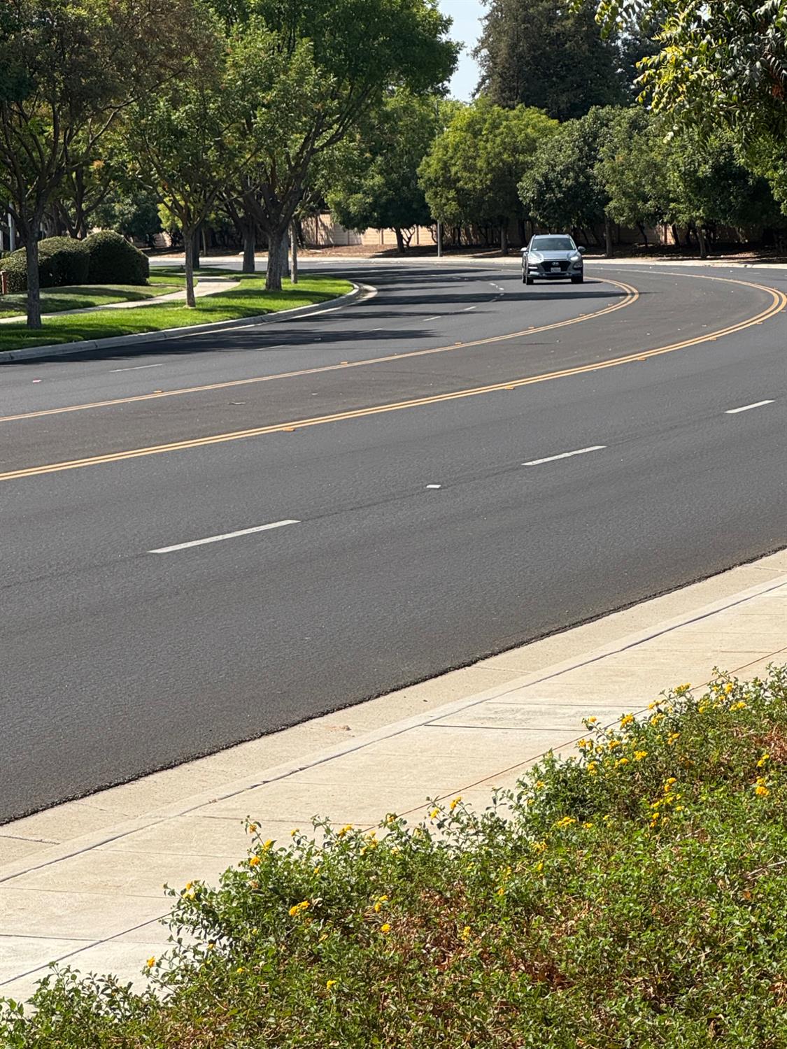 606 W Mahogany Ln, Clovis, CA 93611