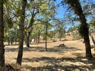 50294 Chuckwagon Rd, Yokuts Valley, CA 93675