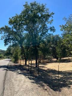 50294 Chuckwagon Rd, Yokuts Valley, CA 93675
