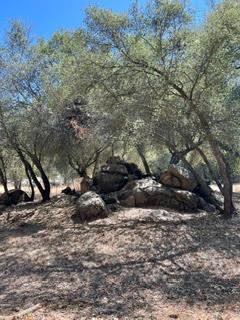 50294 Chuckwagon Rd, Yokuts Valley, CA 93675
