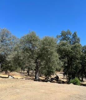 50294 Chuckwagon Rd, Yokuts Valley, CA 93675