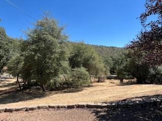 50294 Chuckwagon Rd, Yokuts Valley, CA 93675