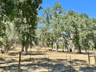 50294 Chuckwagon Rd, Yokuts Valley, CA 93675