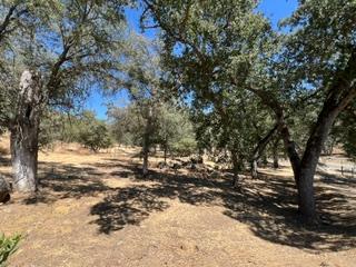 50294 Chuckwagon Rd, Yokuts Valley, CA 93675