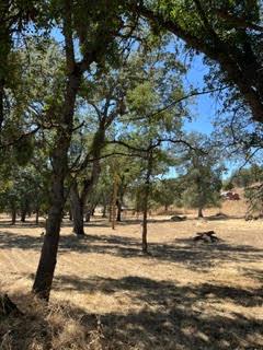 50294 Chuckwagon Rd, Yokuts Valley, CA 93675