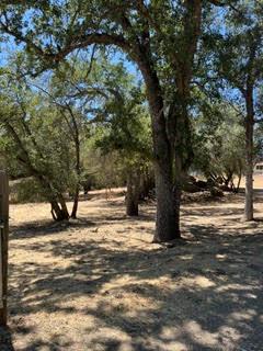 50294 Chuckwagon Rd, Yokuts Valley, CA 93675