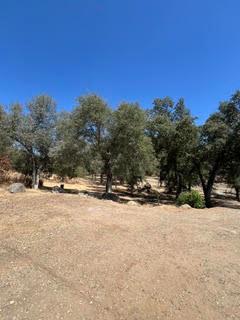 50294 Chuckwagon Rd, Yokuts Valley, CA 93675