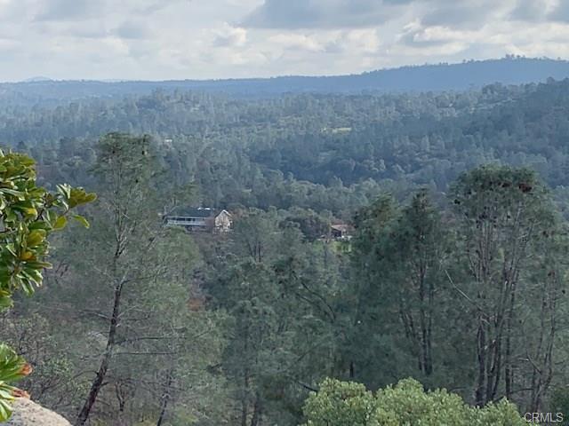 29010 Long Hollow Ct N N, Coarsegold, CA 93614