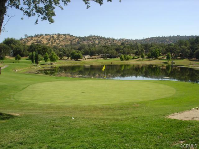 29010 Long Hollow Ct N N, Coarsegold, CA 93614